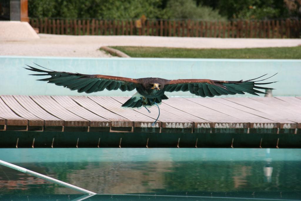 בית הארחה מירנדה דו דורו 	Quinta De La Barandica מראה חיצוני תמונה