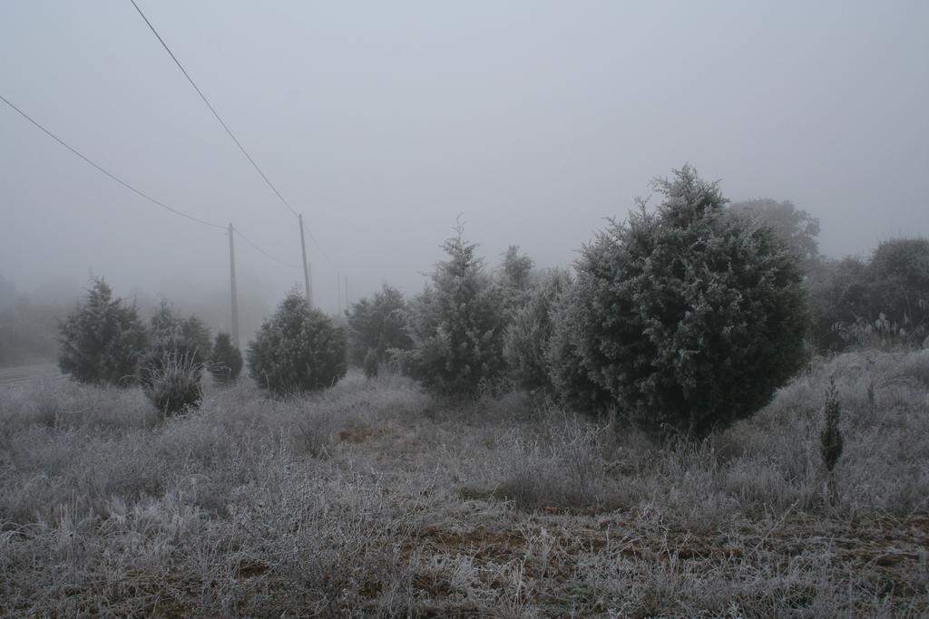 בית הארחה מירנדה דו דורו 	Quinta De La Barandica מראה חיצוני תמונה